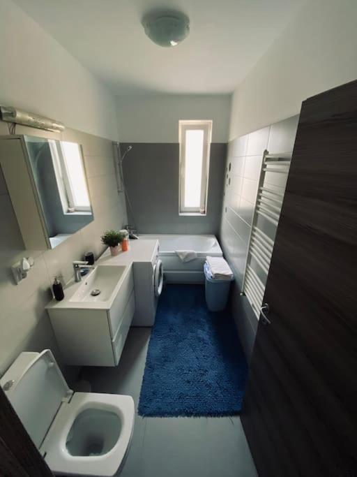 Apartament 2 Camere Modern Si Confortabil Giroc Buitenkant foto